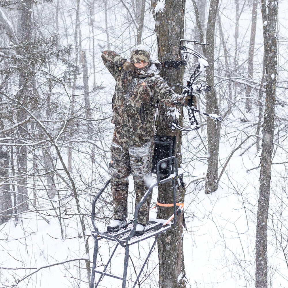 Late Season Whitetail