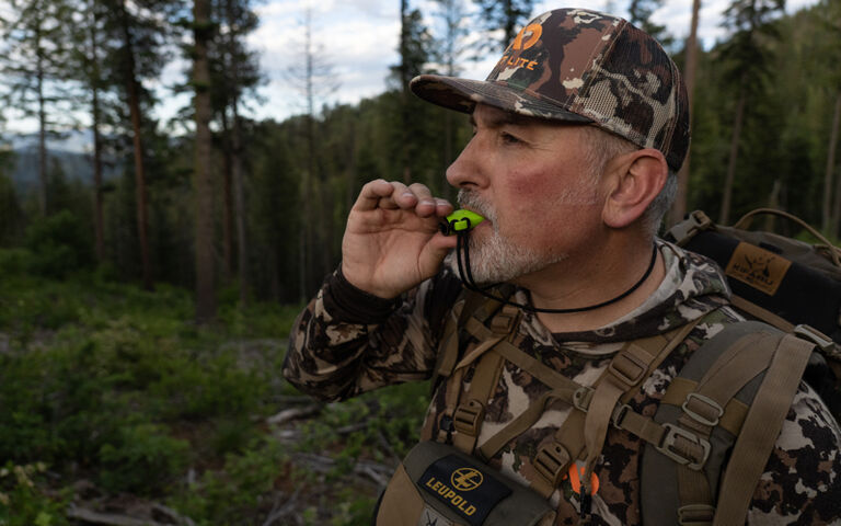 The Easiest Cow Elk Call Ever?