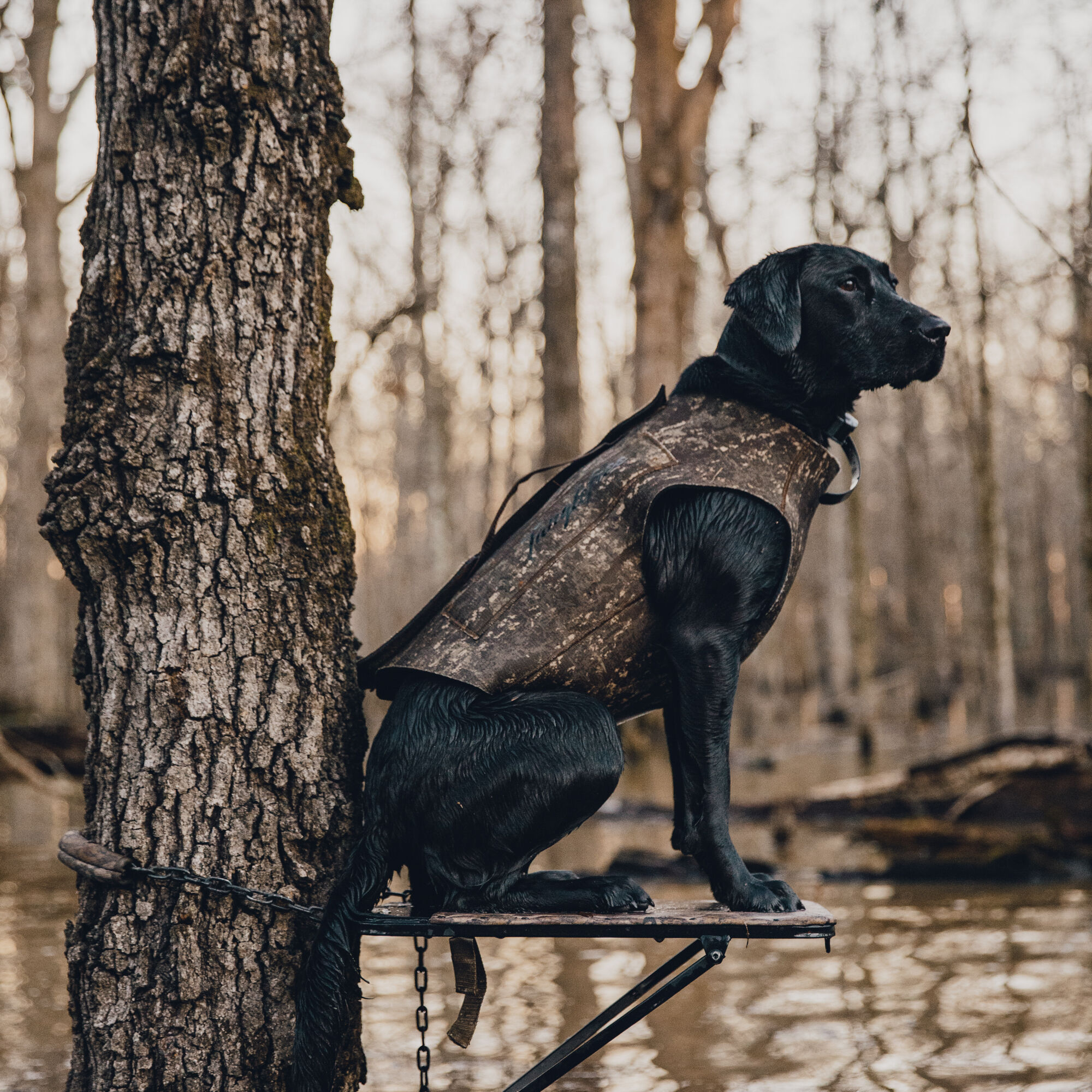 Lab discount hunting vest