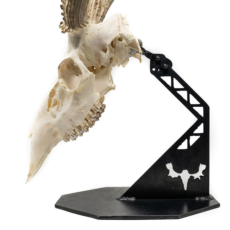 MeatEater Skull Pedestal Mount image number 1