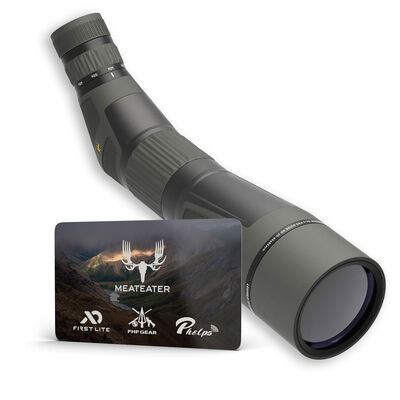 Leupold SX-4 Pro Guide HD Angled Spotting Scope 20-60x85