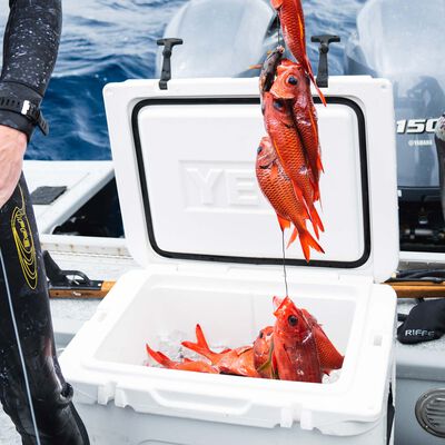 MeatEater Branded Yeti Tundra 45