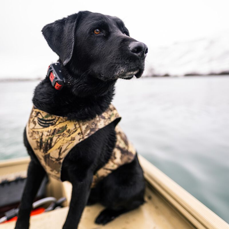 Tanglefree Dog Vest image number 3