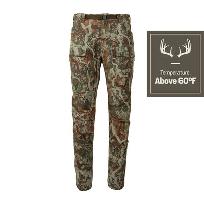 Trace Pant