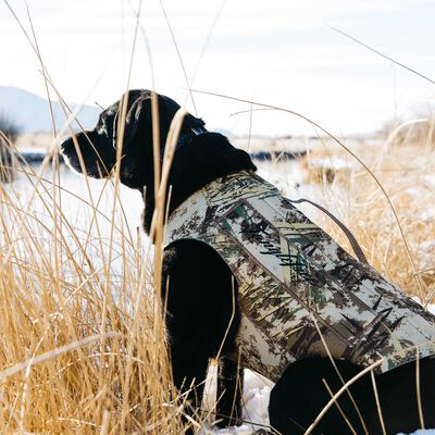 Tanglefree Dog Vest