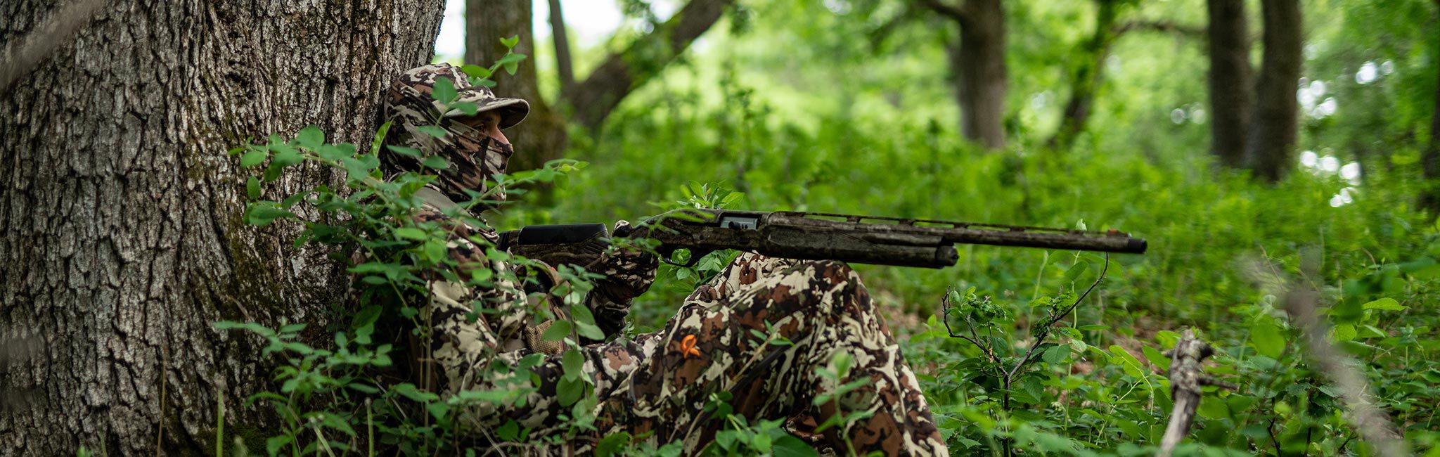 Spring Turkey Kit