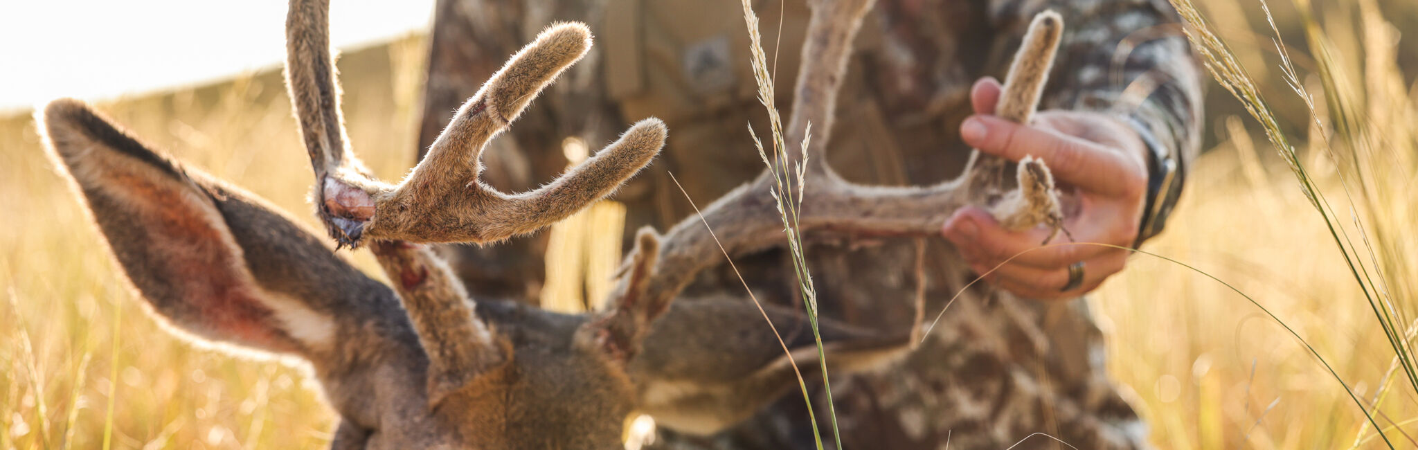 Archery Deer Kit