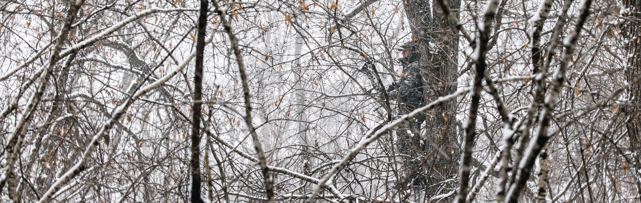 Late Season