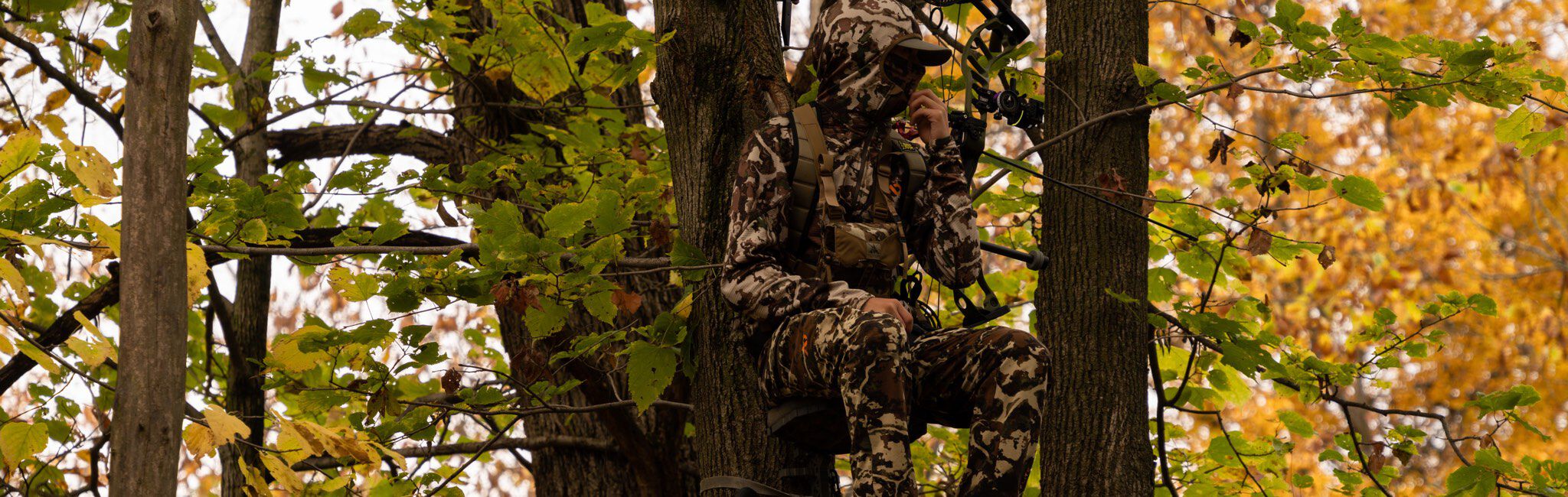 Treestand