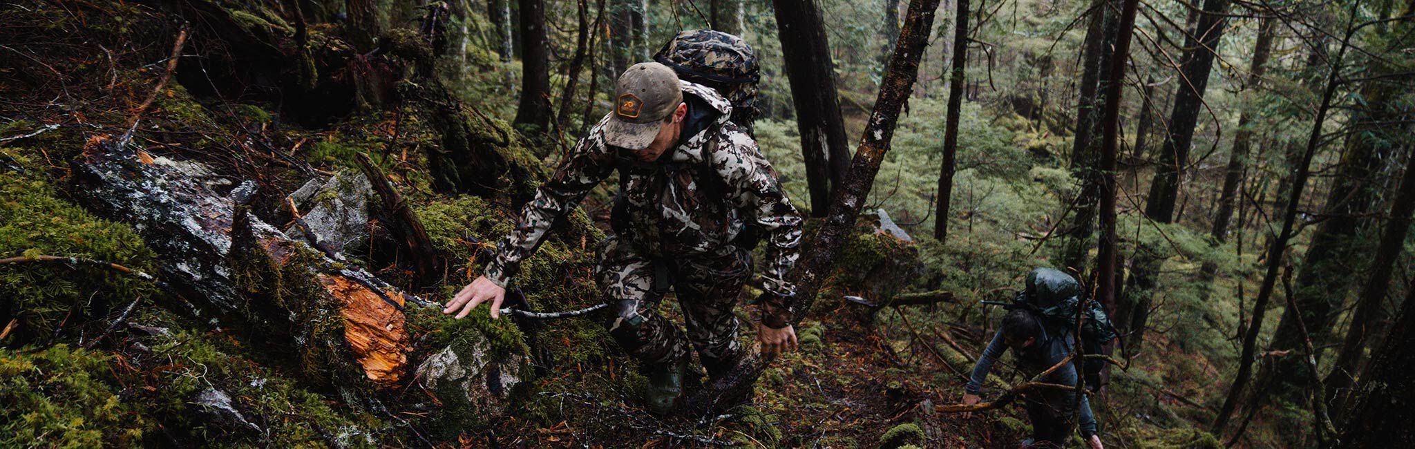 Alaska Blacktail