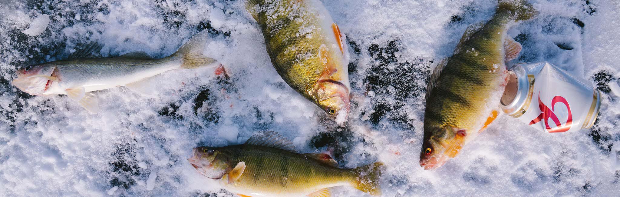 Ice Fishing