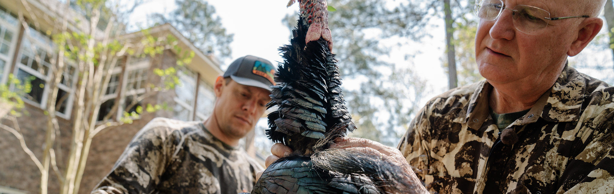 South Carolina Turkeys