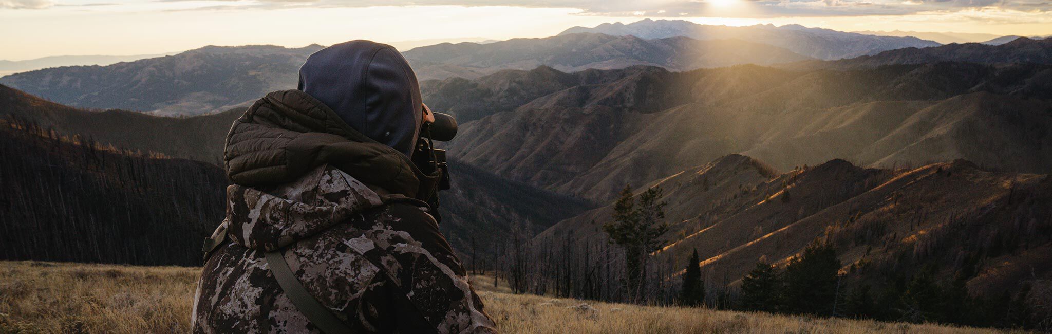 Idaho Mule Deer