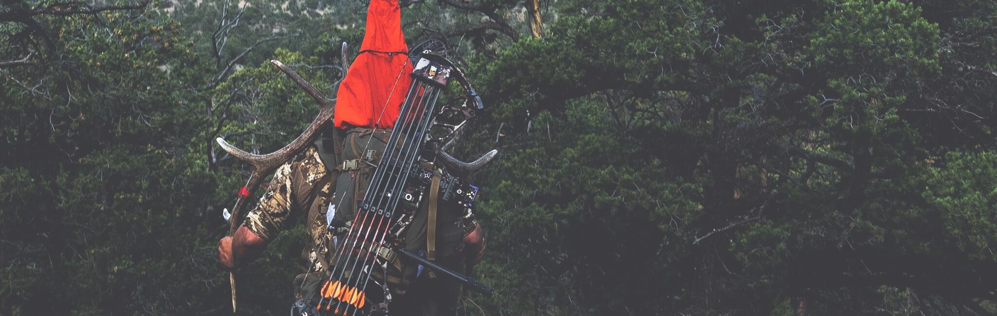 Elk Calls