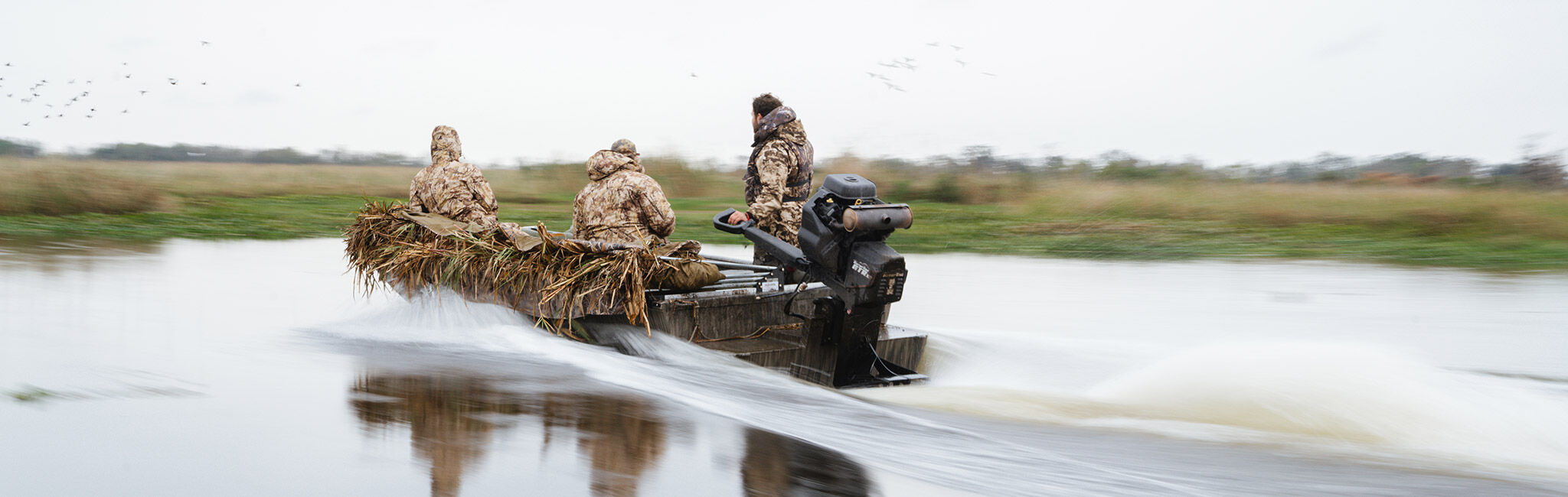 Louisiana Ducks