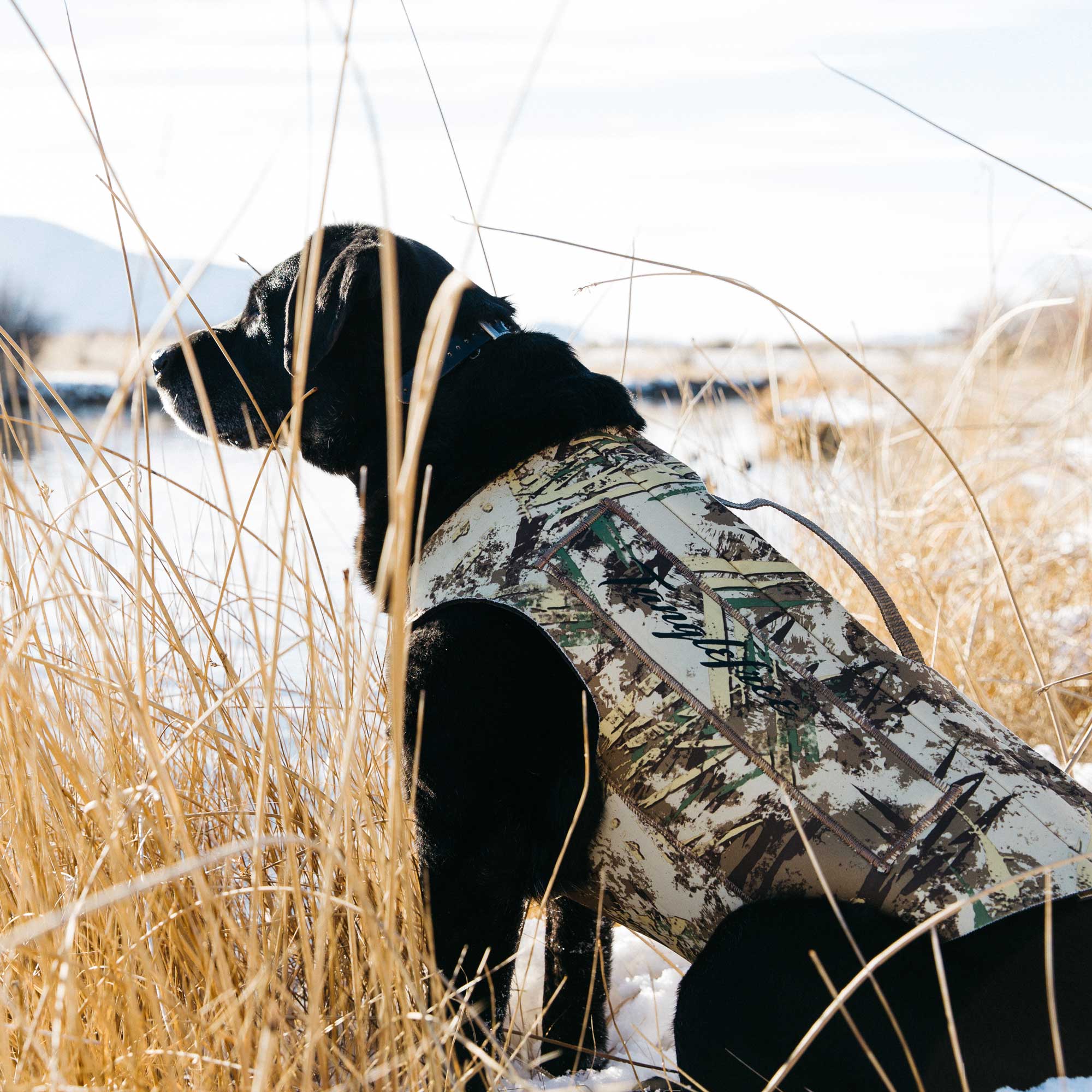 Tanglefree Dog Vest First Lite
